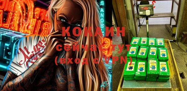 гашик Пересвет