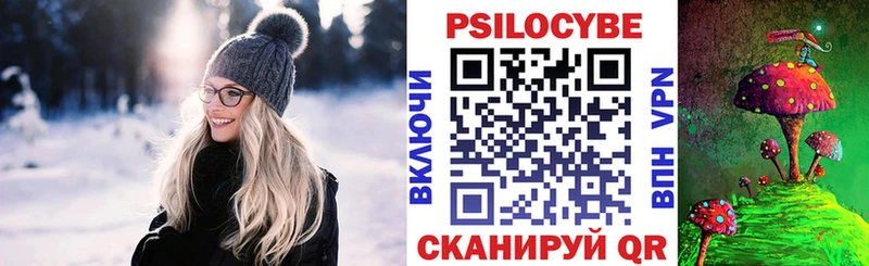 купить Покровск гидра сайт Псилоцибиновые грибы Psilocybine cubensis